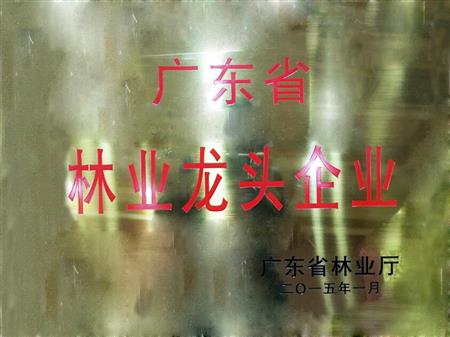    	         	2015年1月，紅古軒當(dāng)選為“廣東省林業(yè)龍頭企業(yè)”   